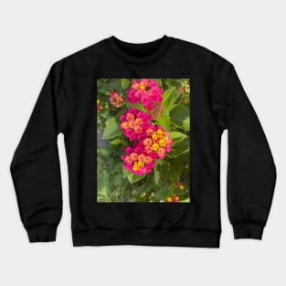 Sister’s garden Crewneck Sweatshirt